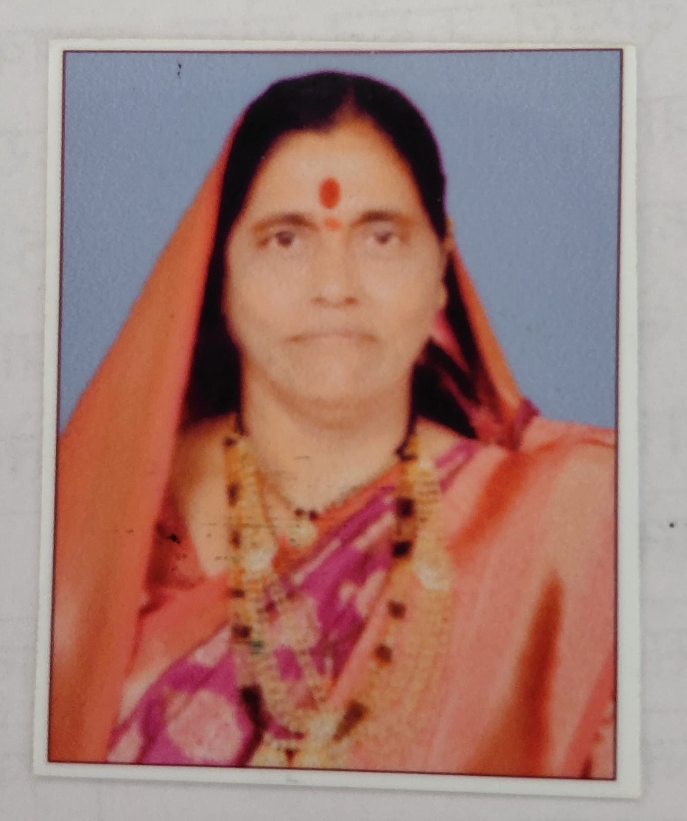सदस्य